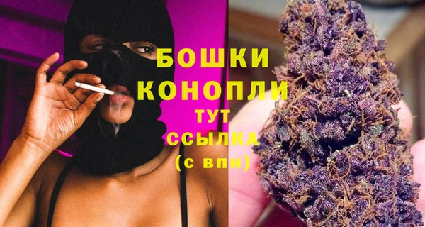 ГАЛЛЮЦИНОГЕННЫЕ ГРИБЫ Липки