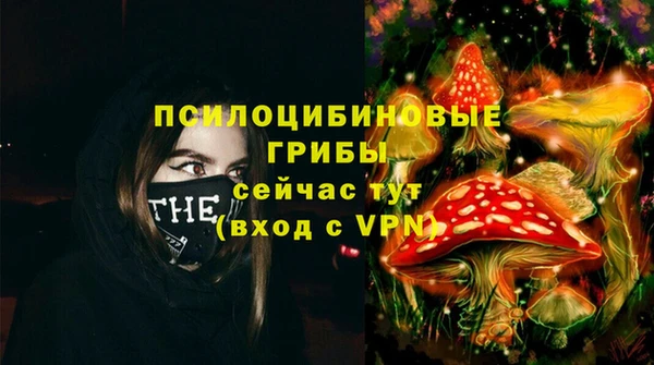 мет Аркадак